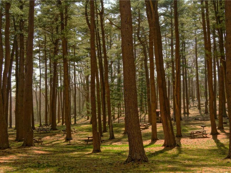 accessibility screenshot 1