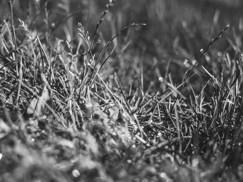 sudoku starter kit screenshot 4